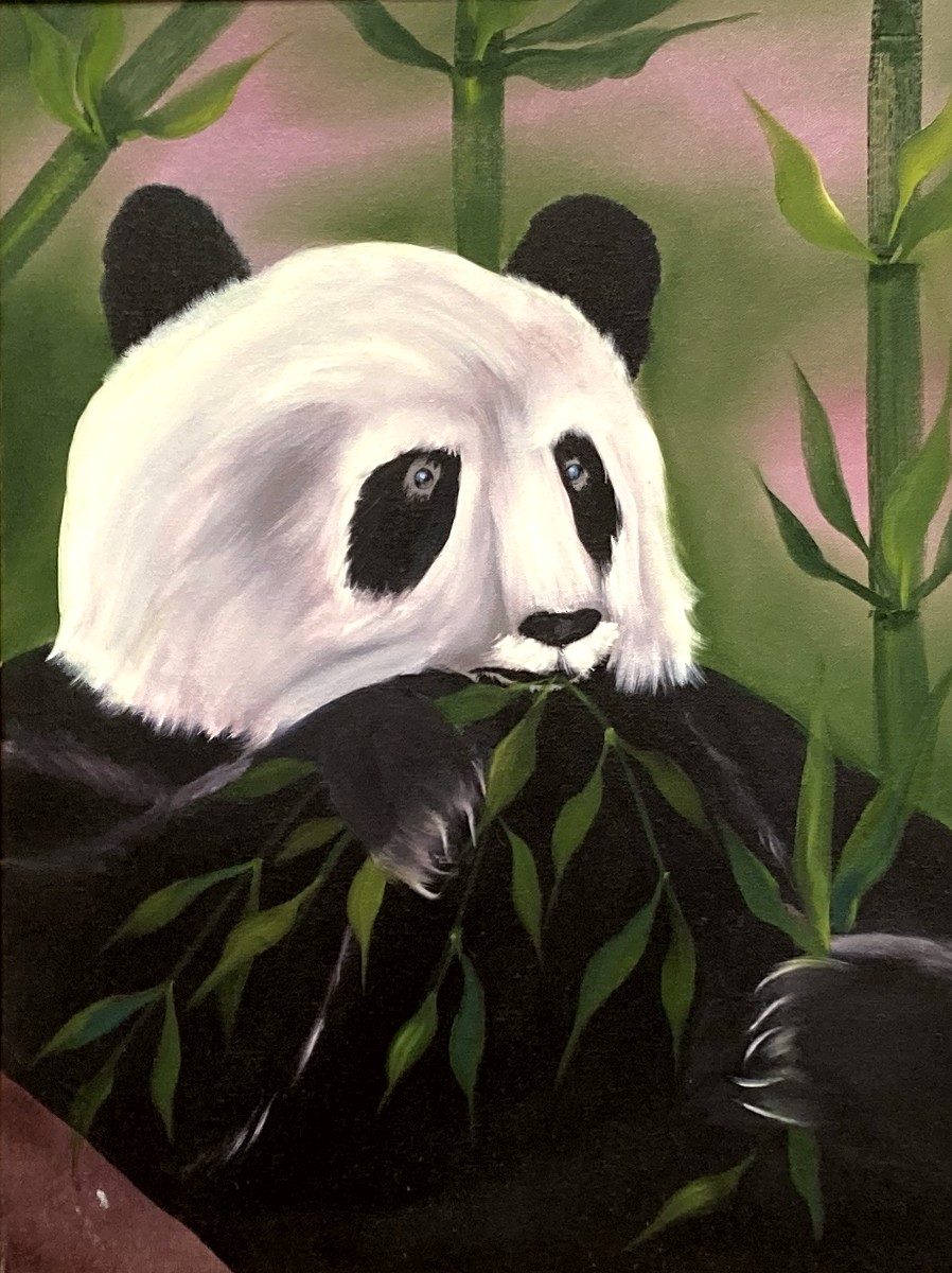 Bamboo for Lunch