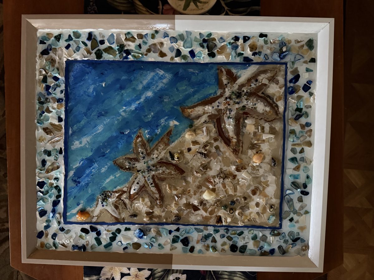 661 Star Fish at the Sea