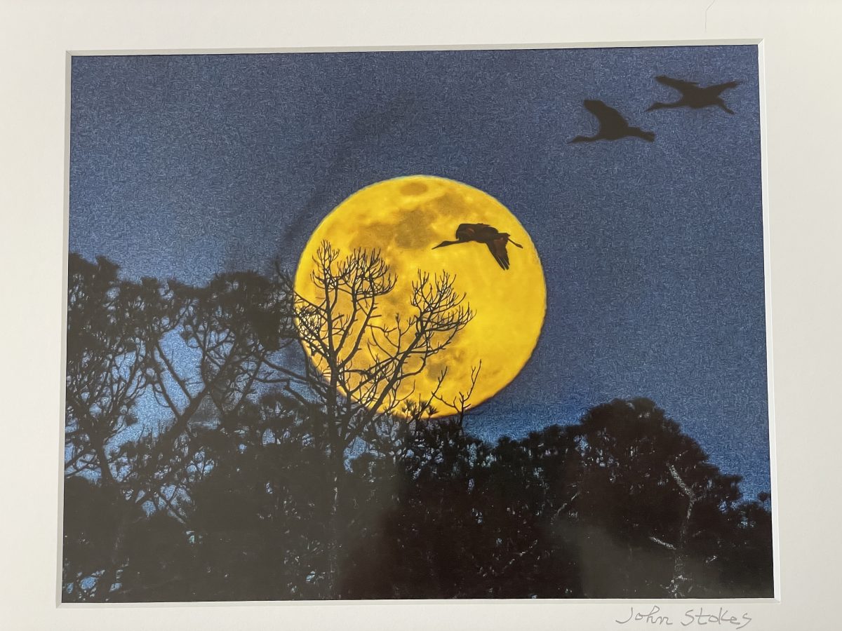 333 Sandhills through full moon