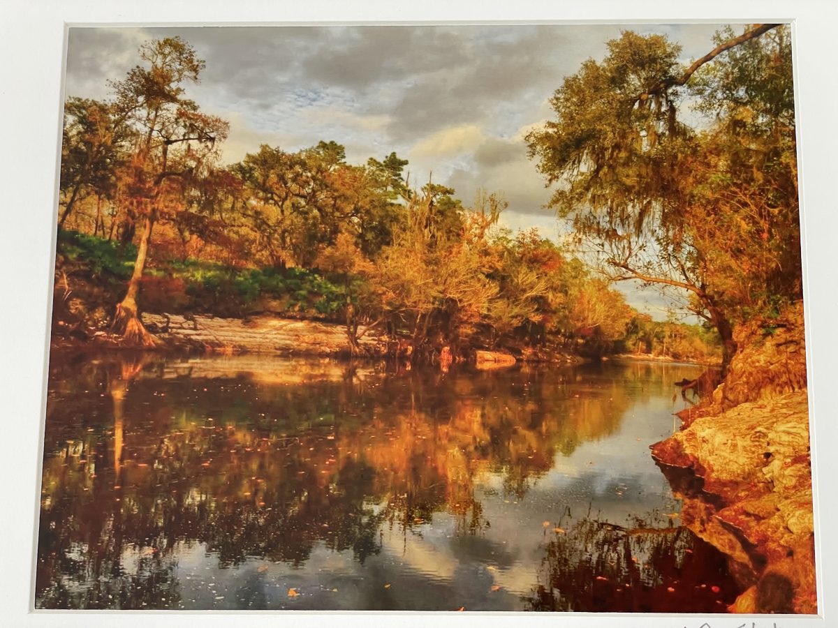 333 Suwannee at Bell Springs