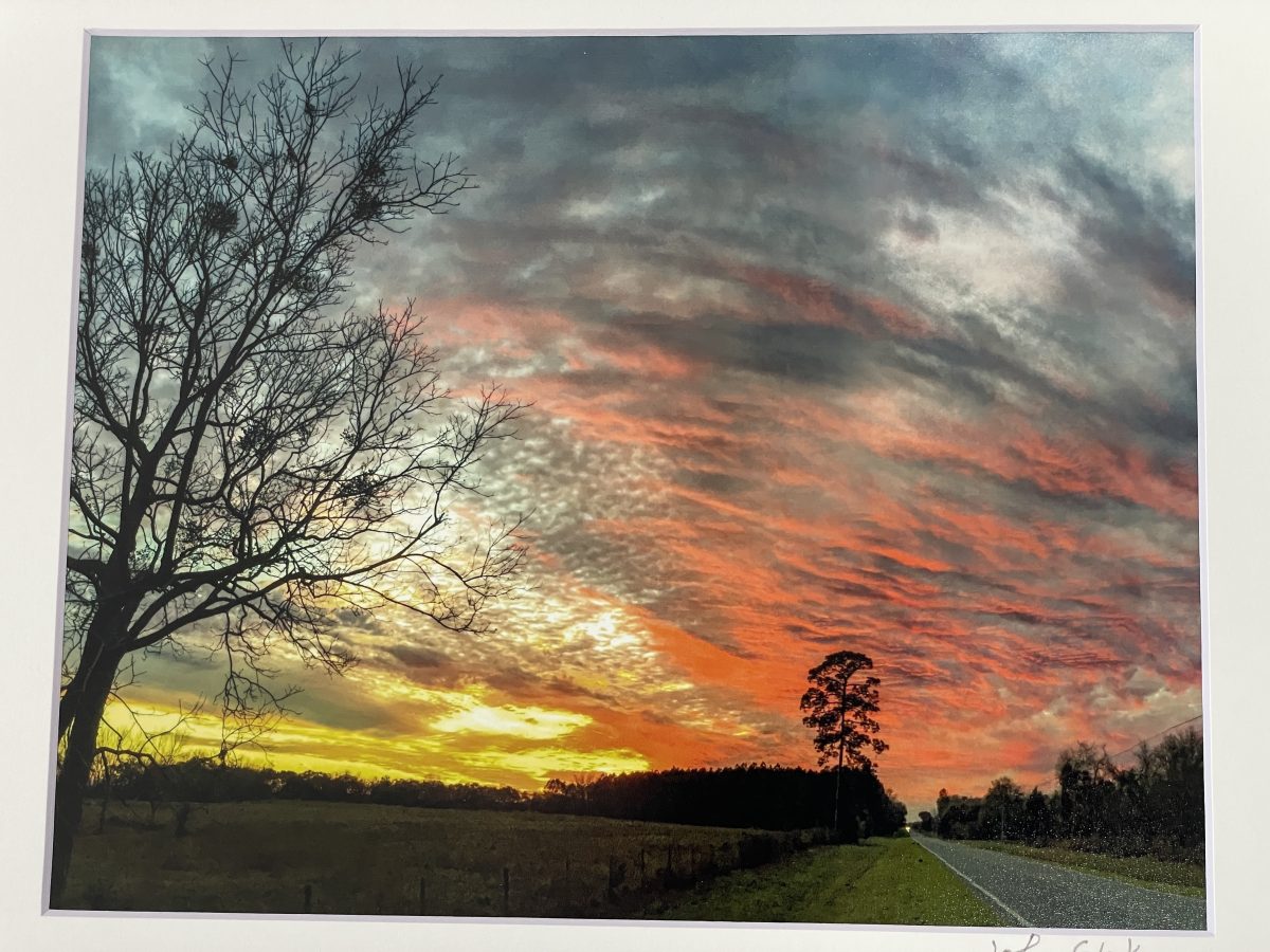 333 Dowling Park Sunset