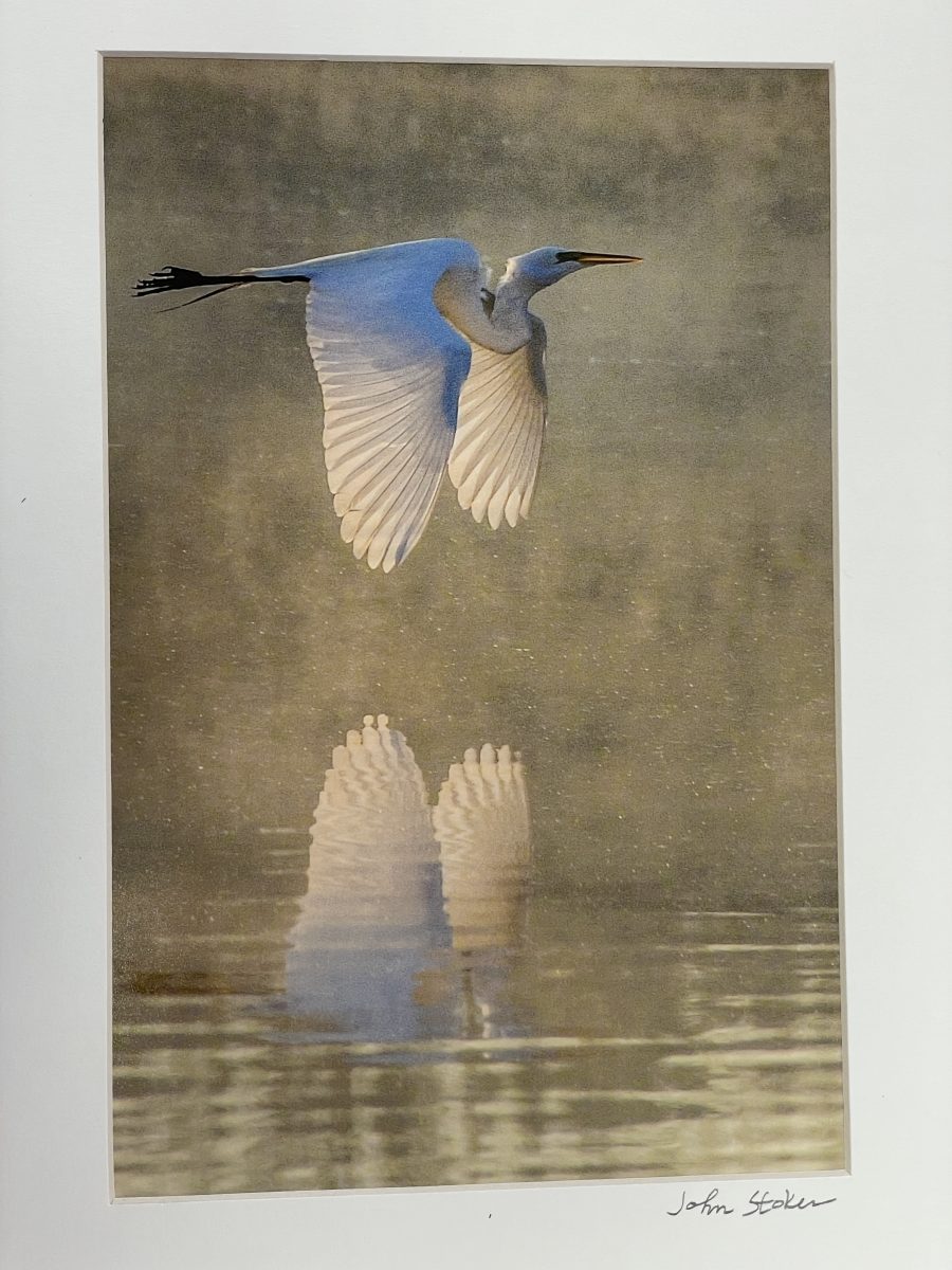 333 Heron in the mists