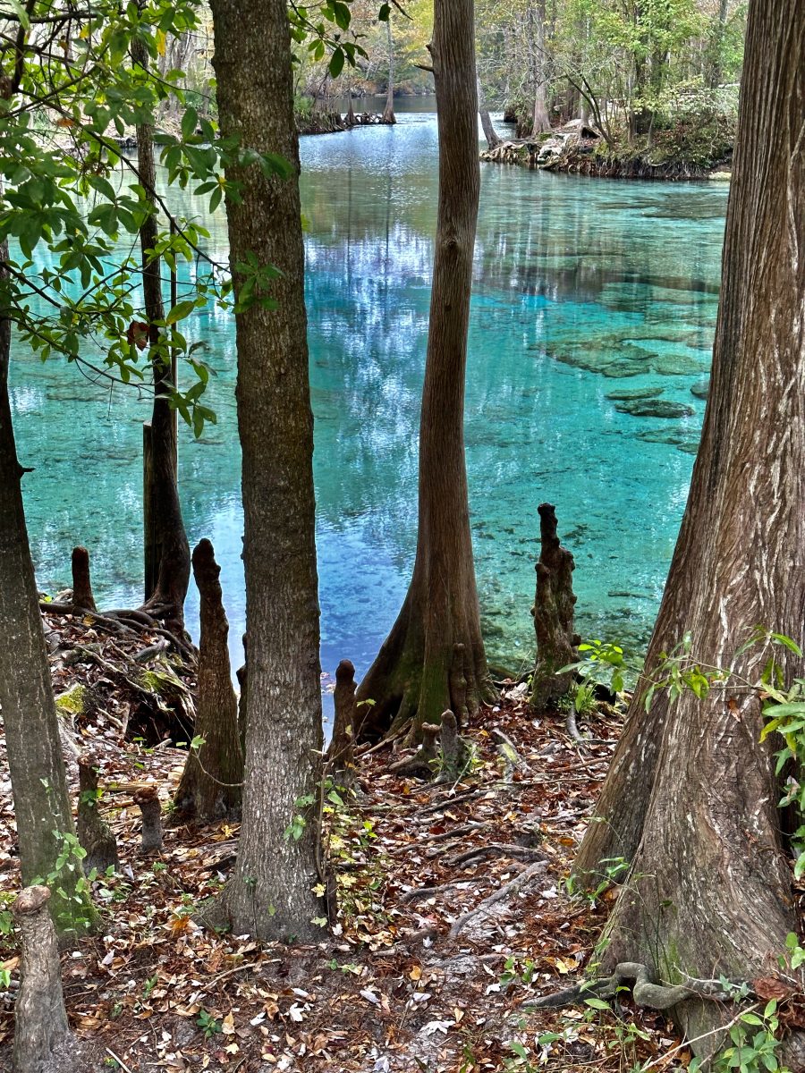 Ginnie Springs Run