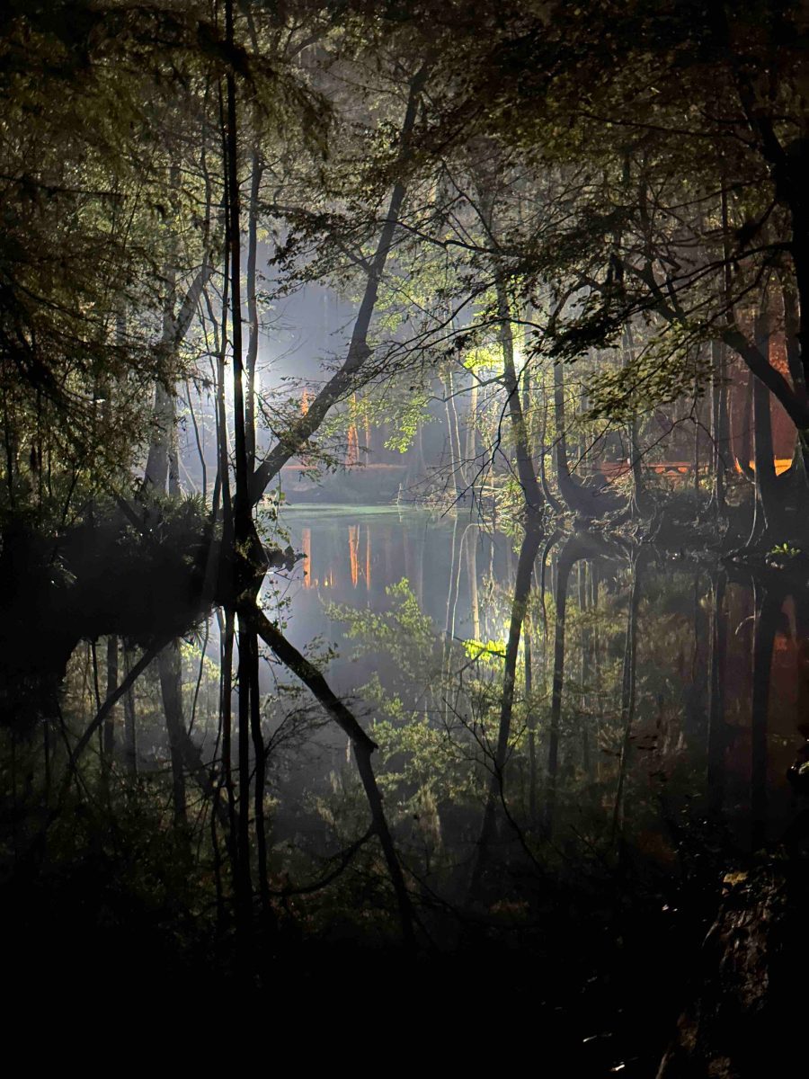 Mystical Spring
