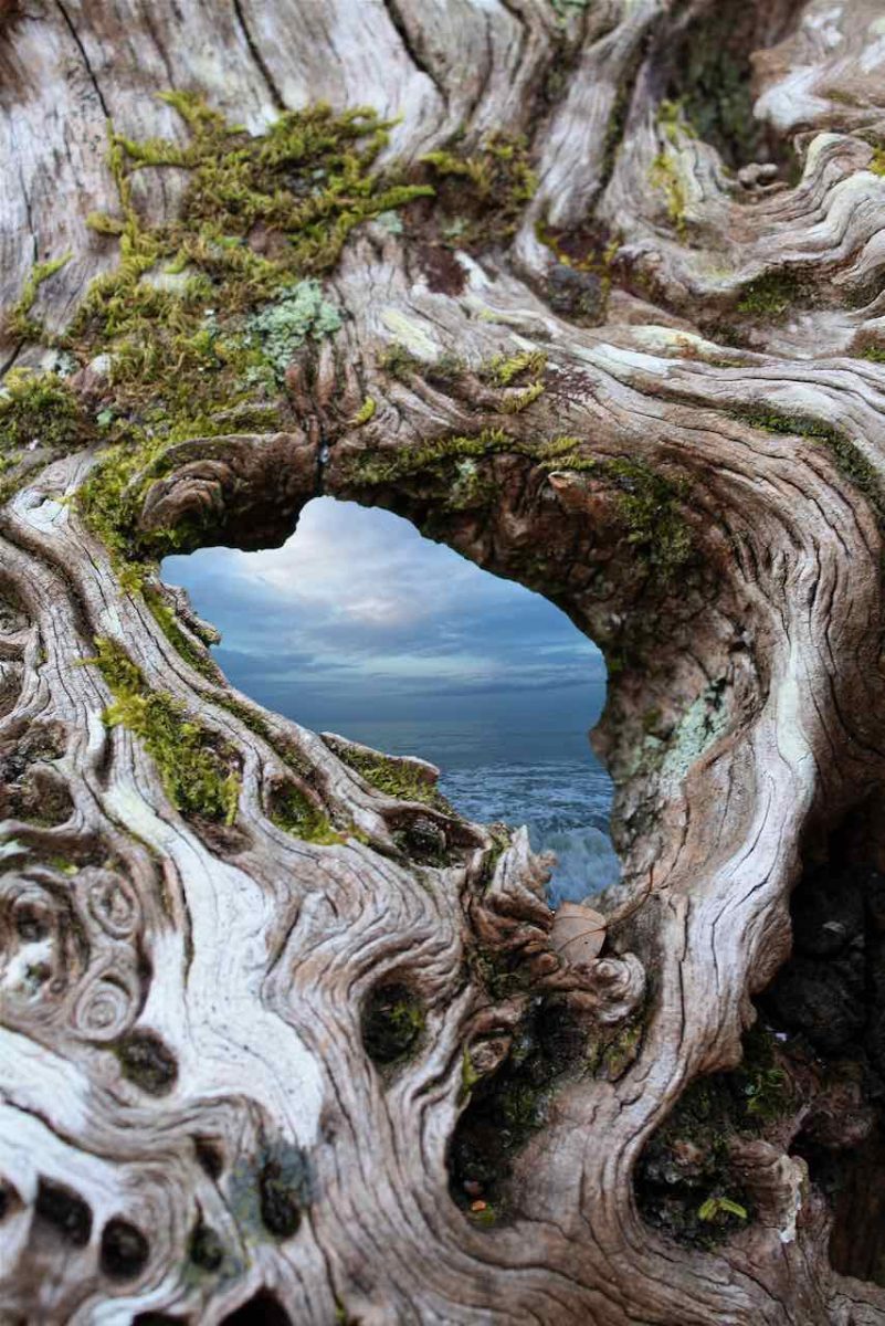 Framed Sea