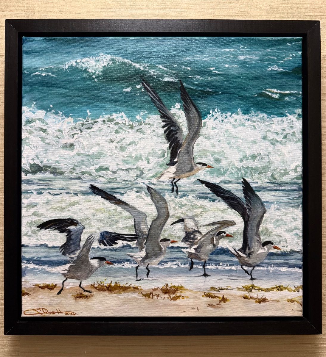 Vilano Seagulls