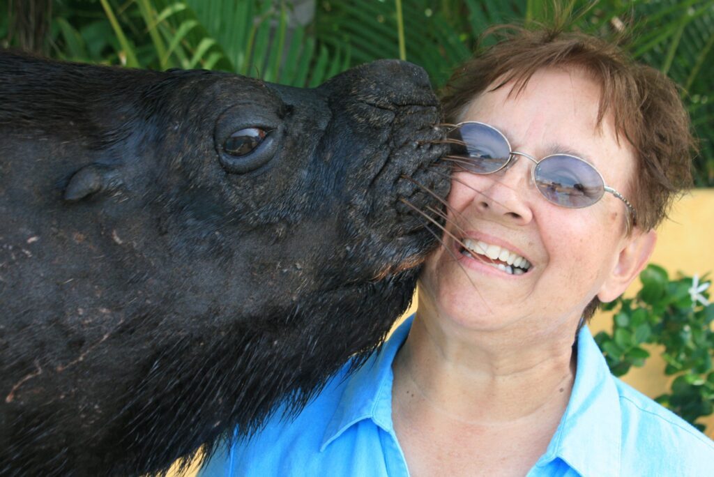 Carol Ghionzoli
