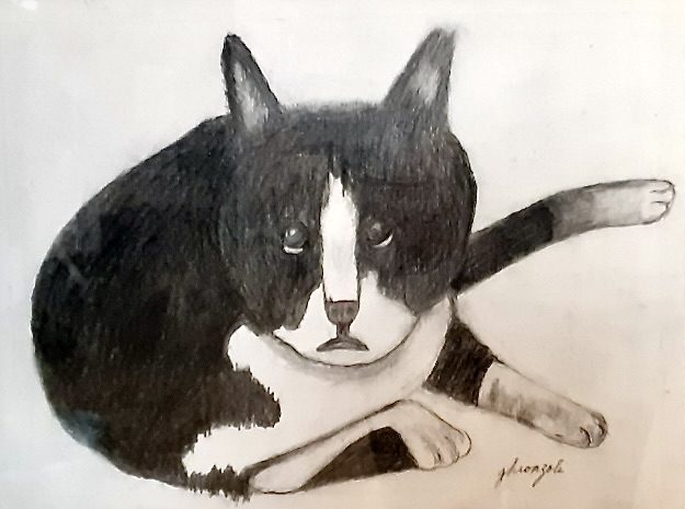 Entry #29 "Oreo" - Carol Ghionzoli