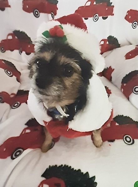 Entry #22 "Christmas Baby" - Carrie Garcia