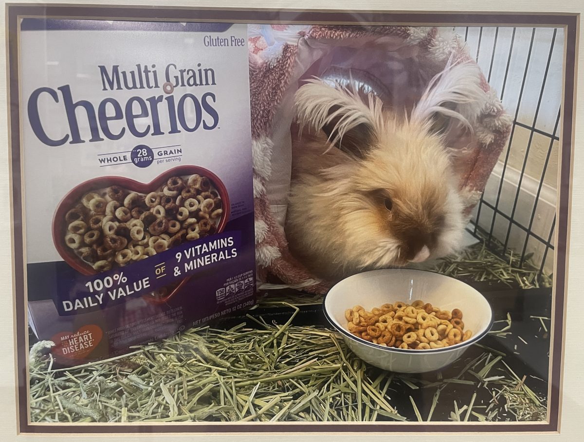 Entry #20 "Cheerio" - John Stokes